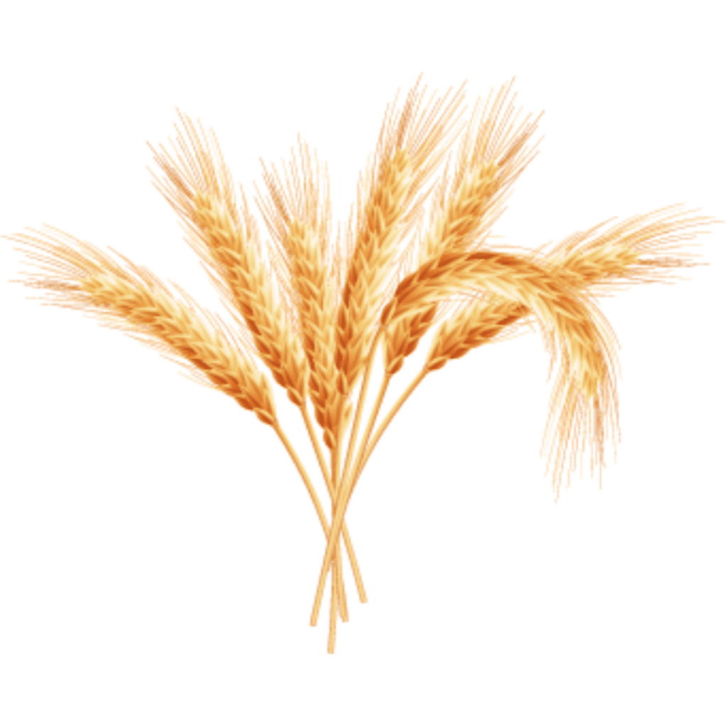 Tu B’Shevat: Recipes, Rituals, and the Seven Species