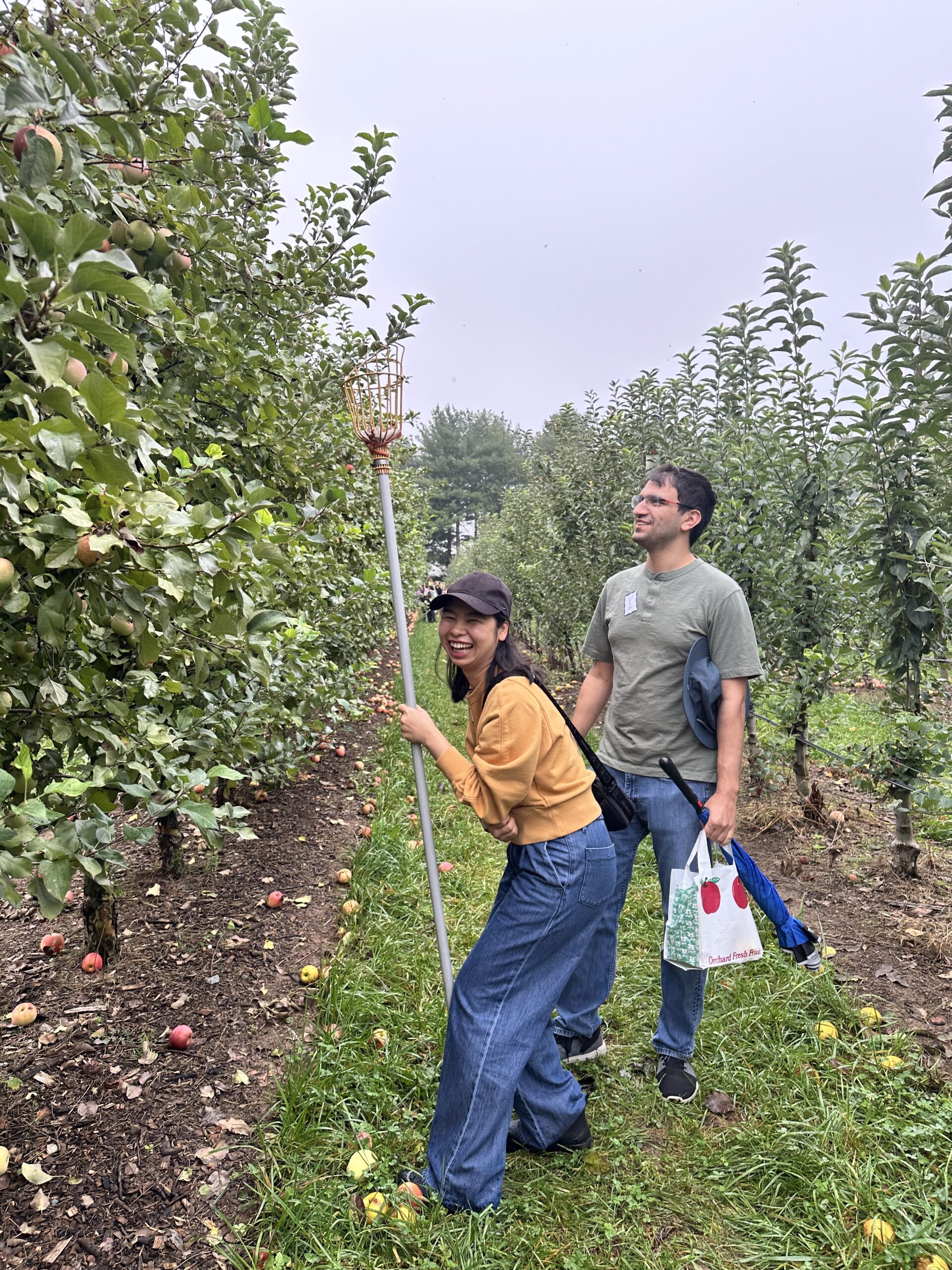 Two people are picking apples in an orchard, smiling and using a tool to reach the fruit.